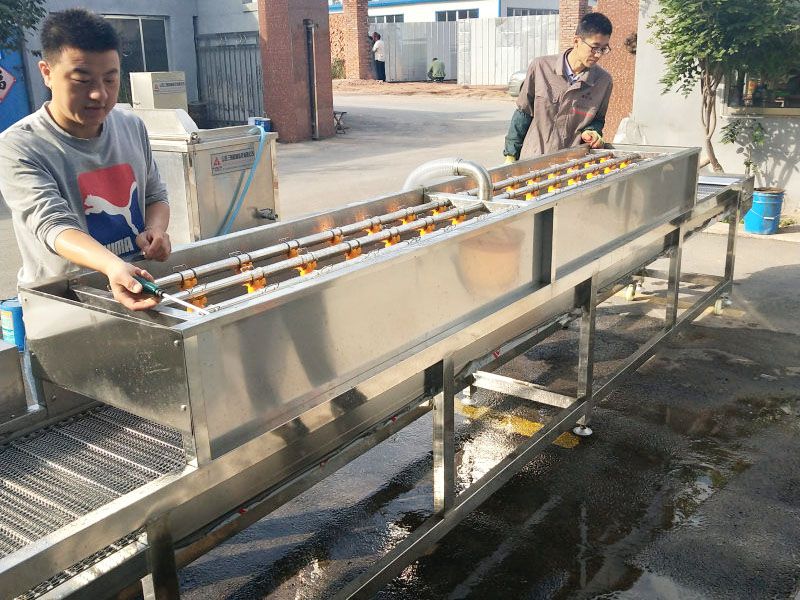 山東多功能蔬菜氣泡清洗機